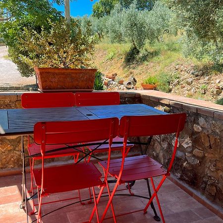Agriturismo Schiaccia Ghiande Massa Marittima Zewnętrze zdjęcie