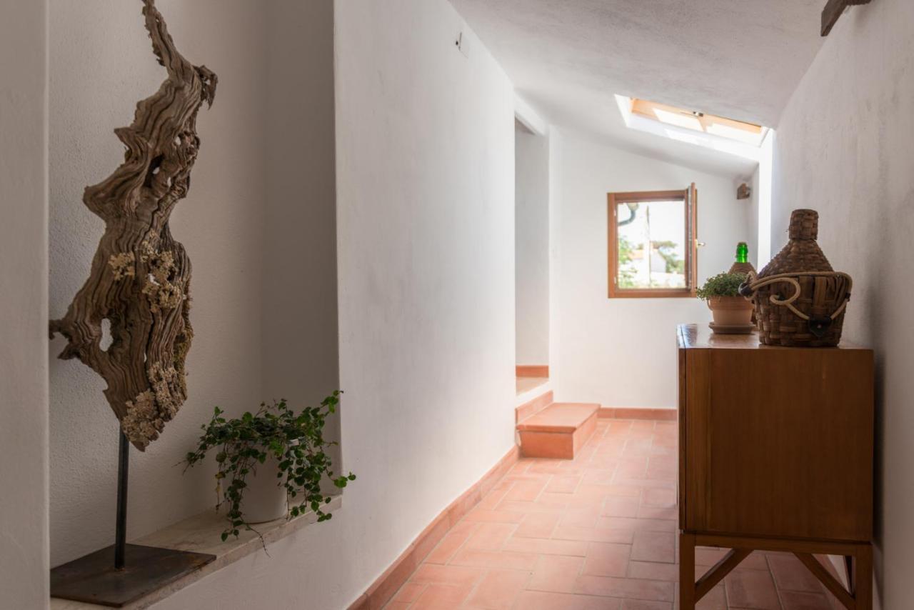 Agriturismo Schiaccia Ghiande Massa Marittima Zewnętrze zdjęcie